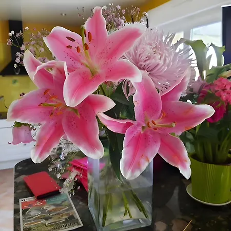 La Voile De Nacre Appt 50 M *